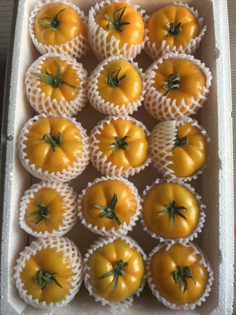 圆黄色番茄，粉糯，风味汁水足，亮度好