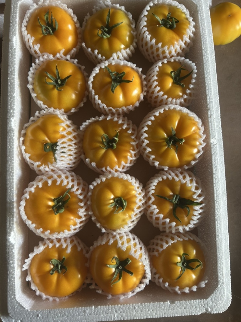 圆黄色番茄，粉糯，风味汁水足，亮度好