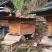 蜂蜜自养的百花蜜***。浓度高的土蜂蜜。