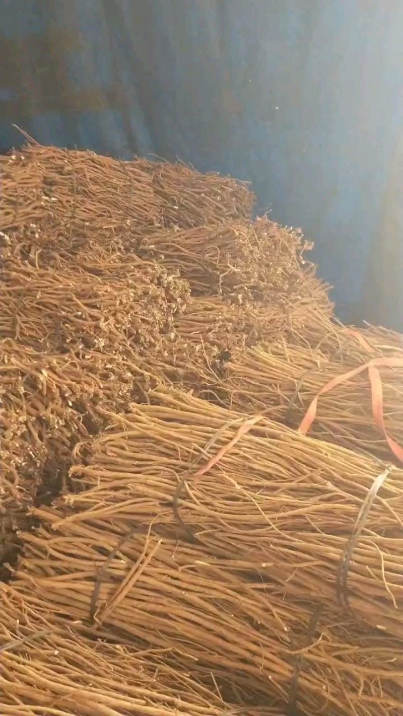 实力【千斤拔】3年以上的小叶红皮千斤拔药材干货