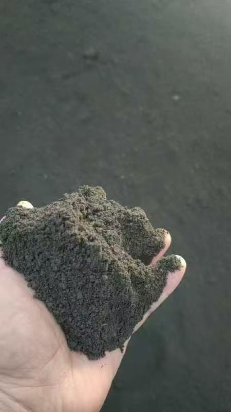 羊粪，发酵羊粪，纯羊粪，腐熟发酵，袋装，散货。