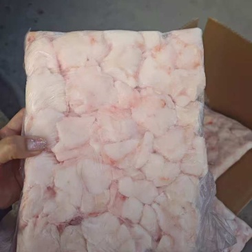 猪蘑菇筋