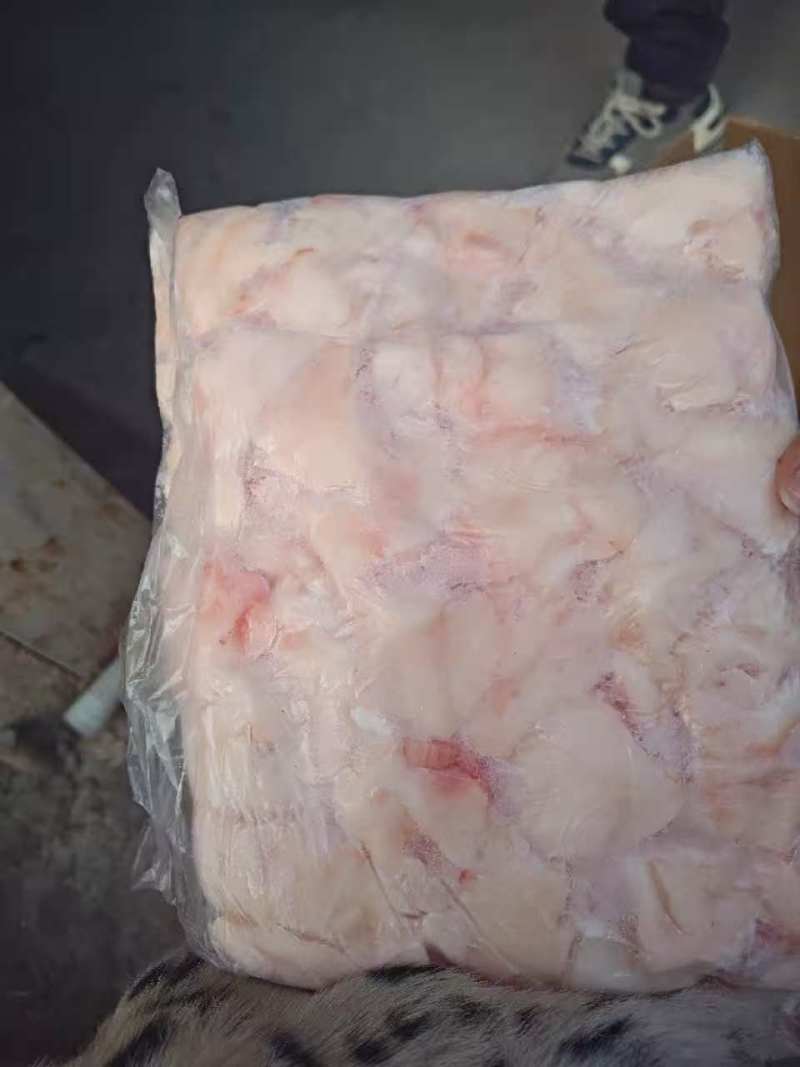 猪蘑菇筋