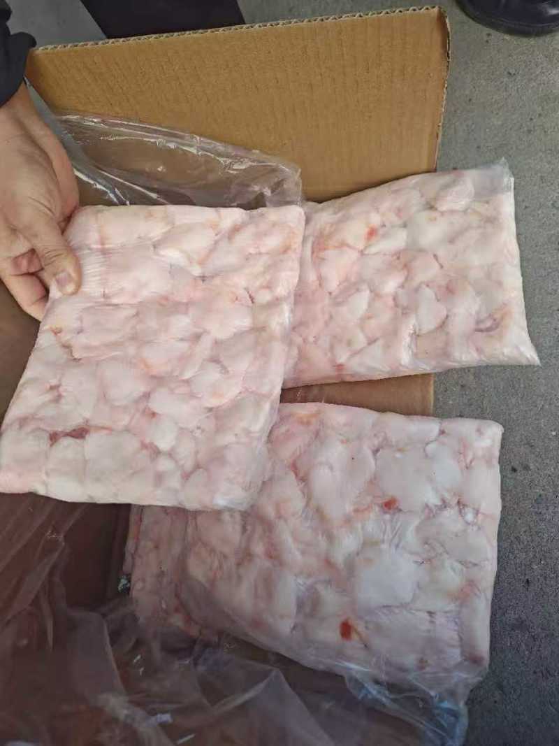 猪蘑菇筋