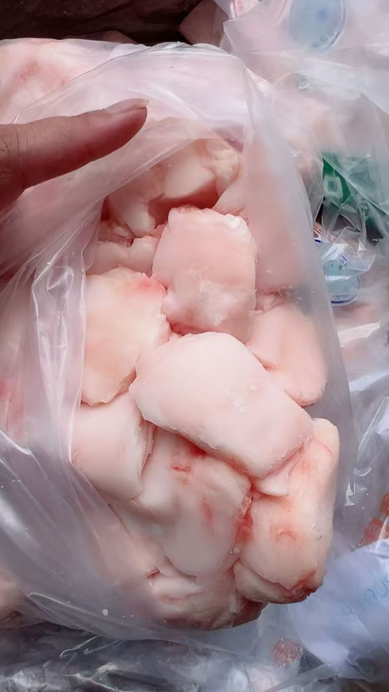 猪蘑菇筋