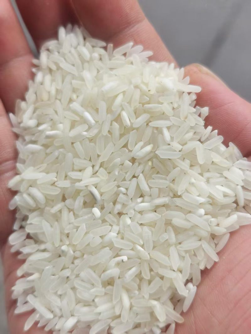 贵州23年大米，特价出售500吨，1.69车板价，米色正