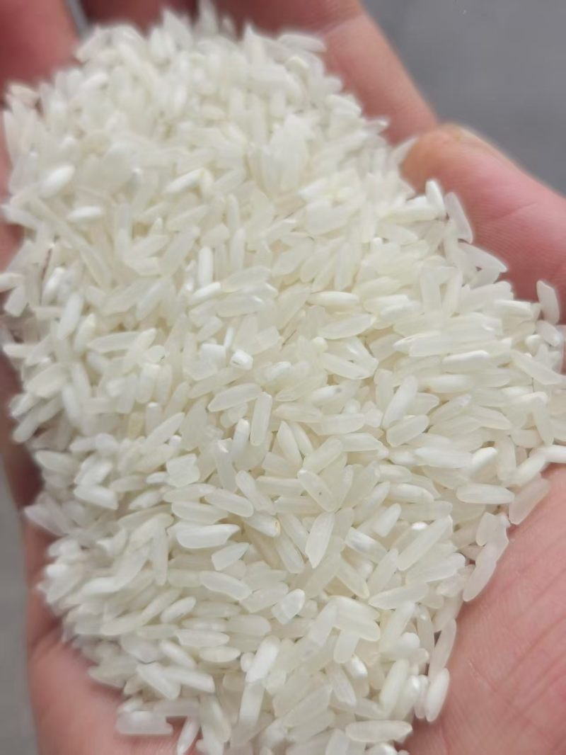 贵州23年大米，特价出售500吨，1.69车板价，米色正