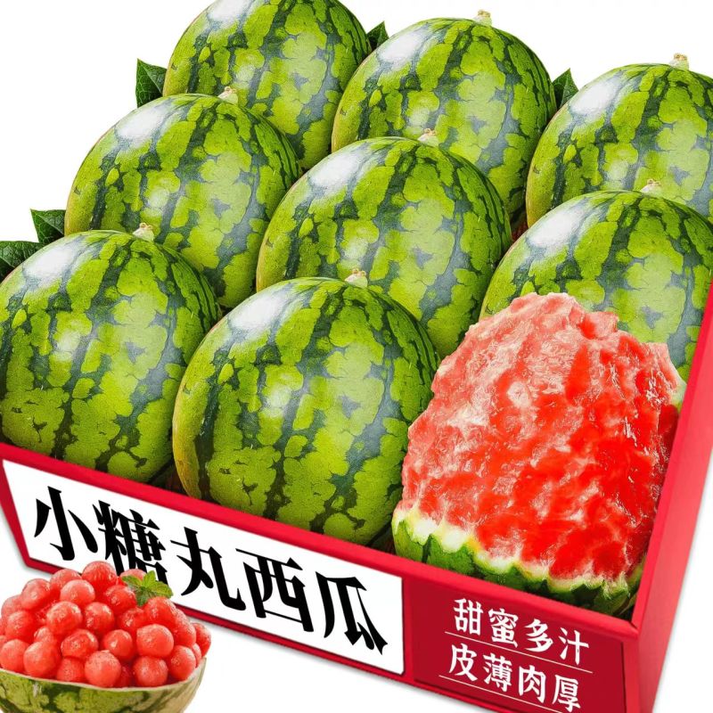 小糖丸冰糖子小吊瓜全美2k西瓜保熟保甜2k西瓜吊瓜地爬瓜