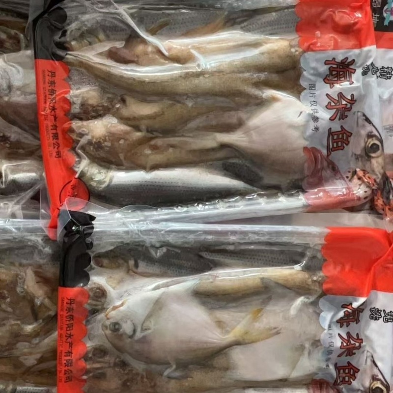 海杂鱼海鲜批发杂鱼锅贴海鲜海鱼随机搭配不固定新鲜海鱼