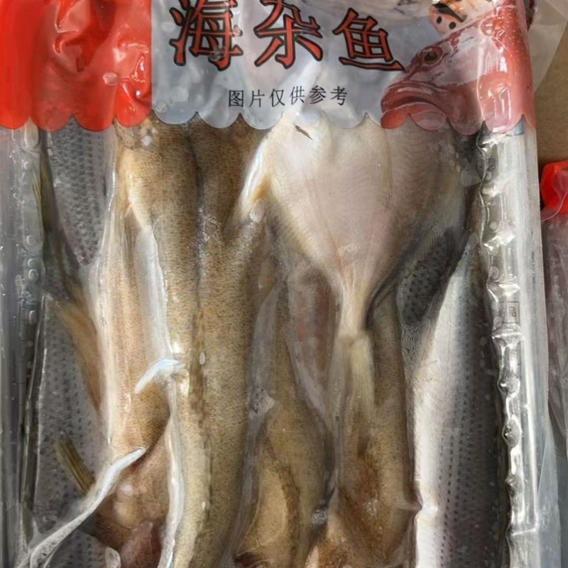 海杂鱼海鲜批发杂鱼锅贴海鲜海鱼随机搭配不固定新鲜海鱼