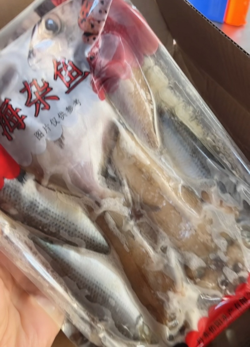 海杂鱼海鲜批发杂鱼锅贴海鲜海鱼随机搭配不固定新鲜海鱼