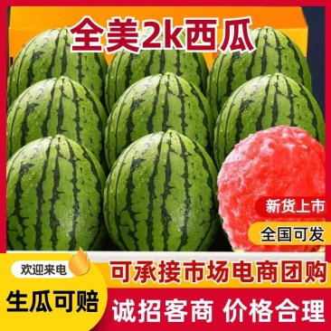 全美2k西瓜小糖丸2K西瓜冰糖子小吊瓜地爬瓜吊瓜保熟保甜