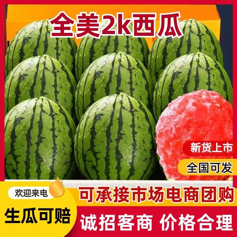 全美2k西瓜小糖丸2K西瓜冰糖子小吊瓜地爬瓜吊瓜保熟保甜