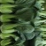 蔬菜基地一手货源