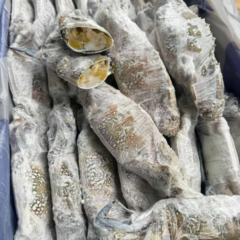 兰花蟹公母都有货母的带膏公的满肉规格齐全海螃蟹梭子蟹海洋