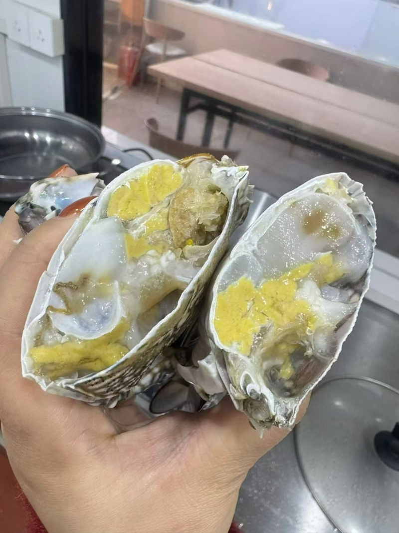 兰花蟹公母都有货母的带膏公的满肉规格齐全海螃蟹梭子蟹海洋