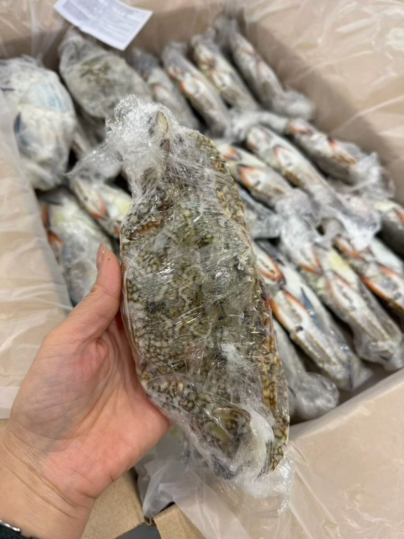 兰花蟹公母都有货母的带膏公的满肉规格齐全海螃蟹梭子蟹海洋