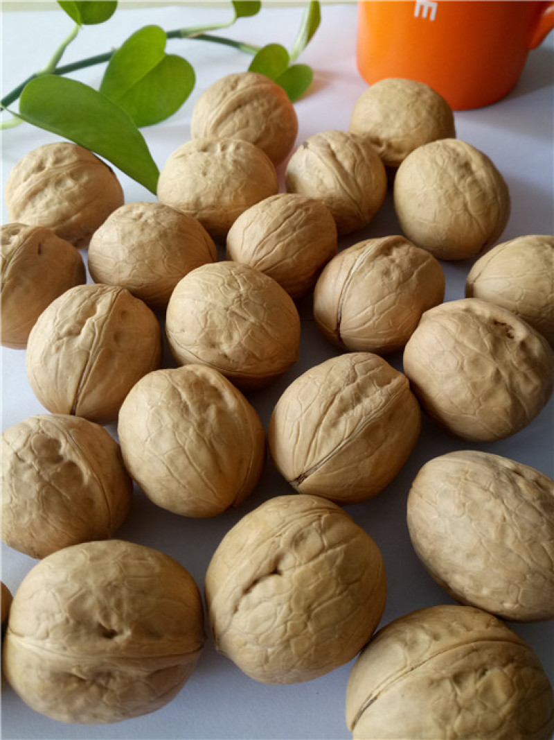 新货薄皮核桃纸皮核桃厂家直销对接电商商超展会代发