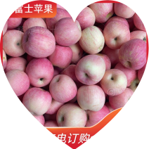 山东红富士苹果