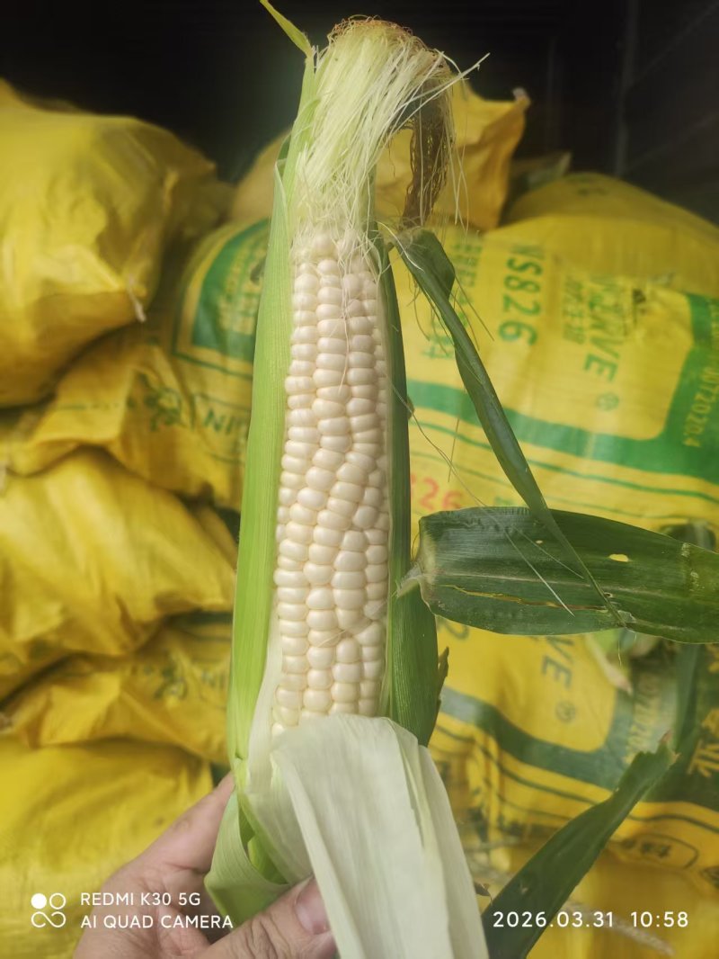 牛奶水果玉米