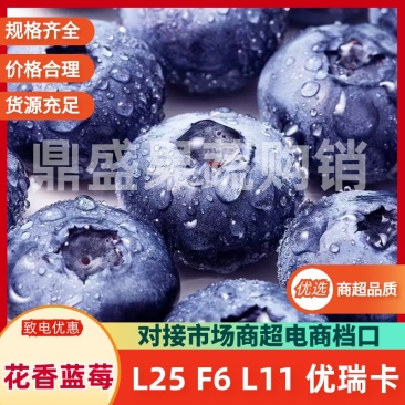 蓝莓产地直供，量大从优，欢迎采购，保质保量，纯甜无酸