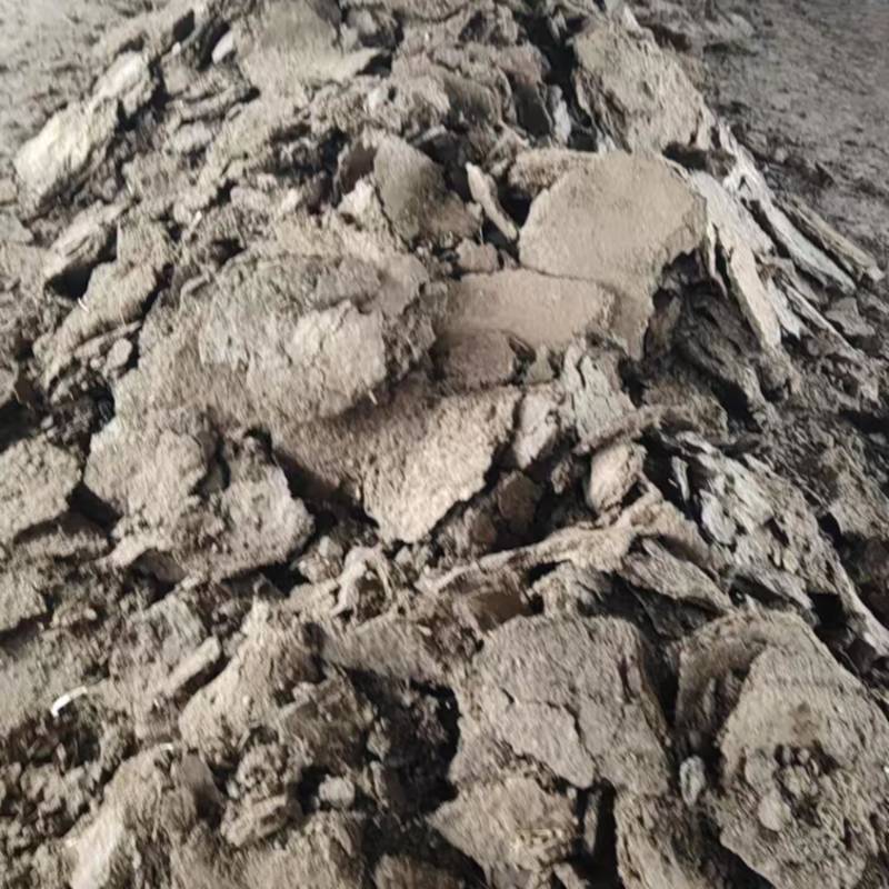 育肥羊板粪品质保证服务周到产地直发价格美丽产地直发