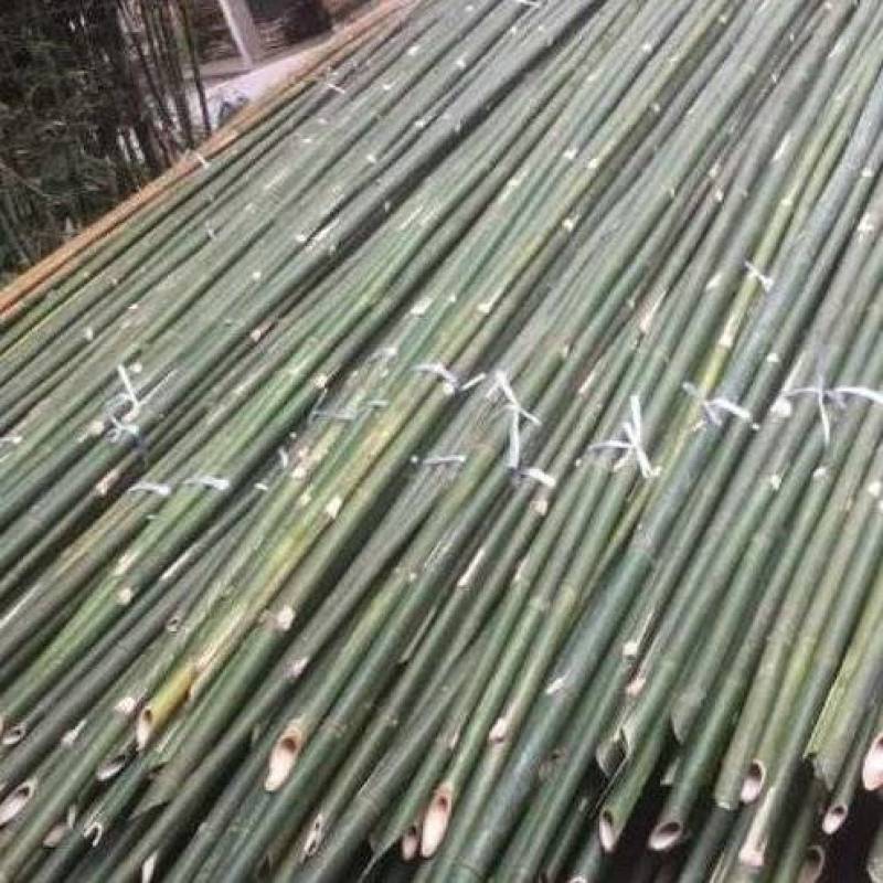 常年供应果撑，果叉，竹丁，果丁，Y果树专用可按要求定做