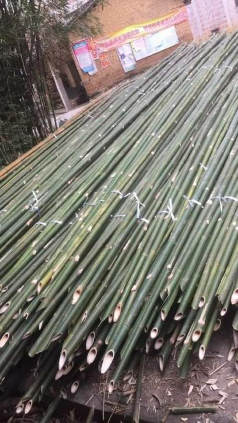 常年供应果撑，果叉，竹丁，果丁，Y果树专用可按要求定做