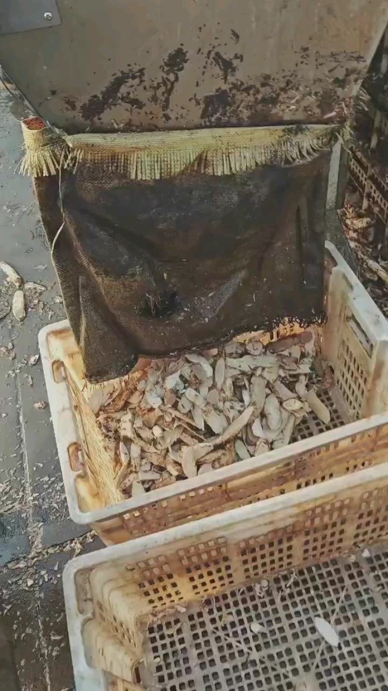 肉苁蓉感恩回馈，**福利价，全国发货，原厂直发