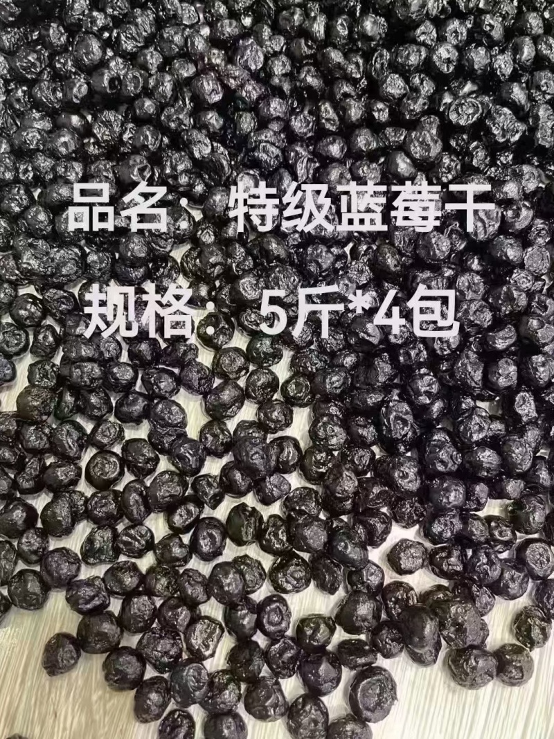 果干果脯精品蓝莓干批发零售