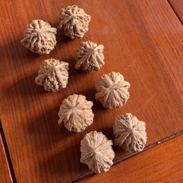 麻核桃狮子头官帽虎头公子帽