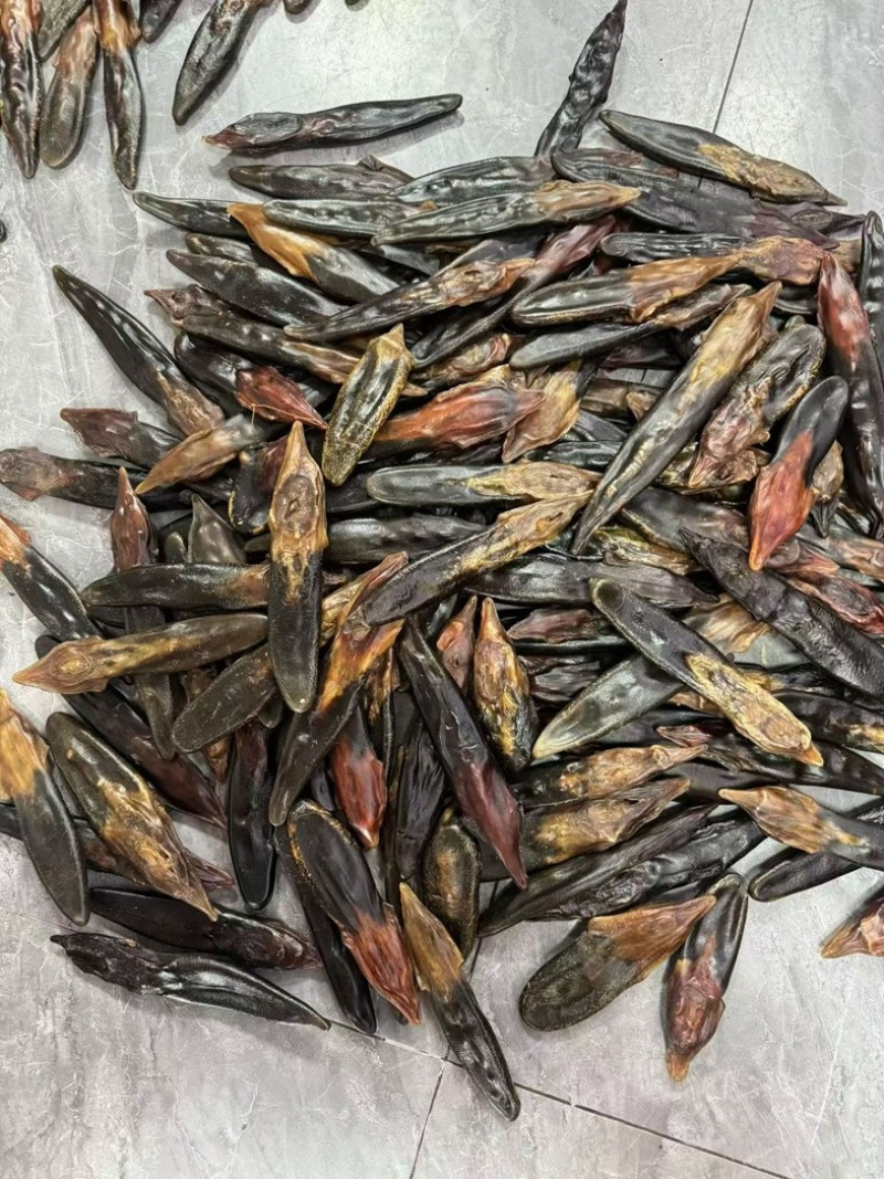吉林鹿乡干鹿尾残尾残片切片鹿尾巴煲汤泡酒批量源头产地鹿尾
