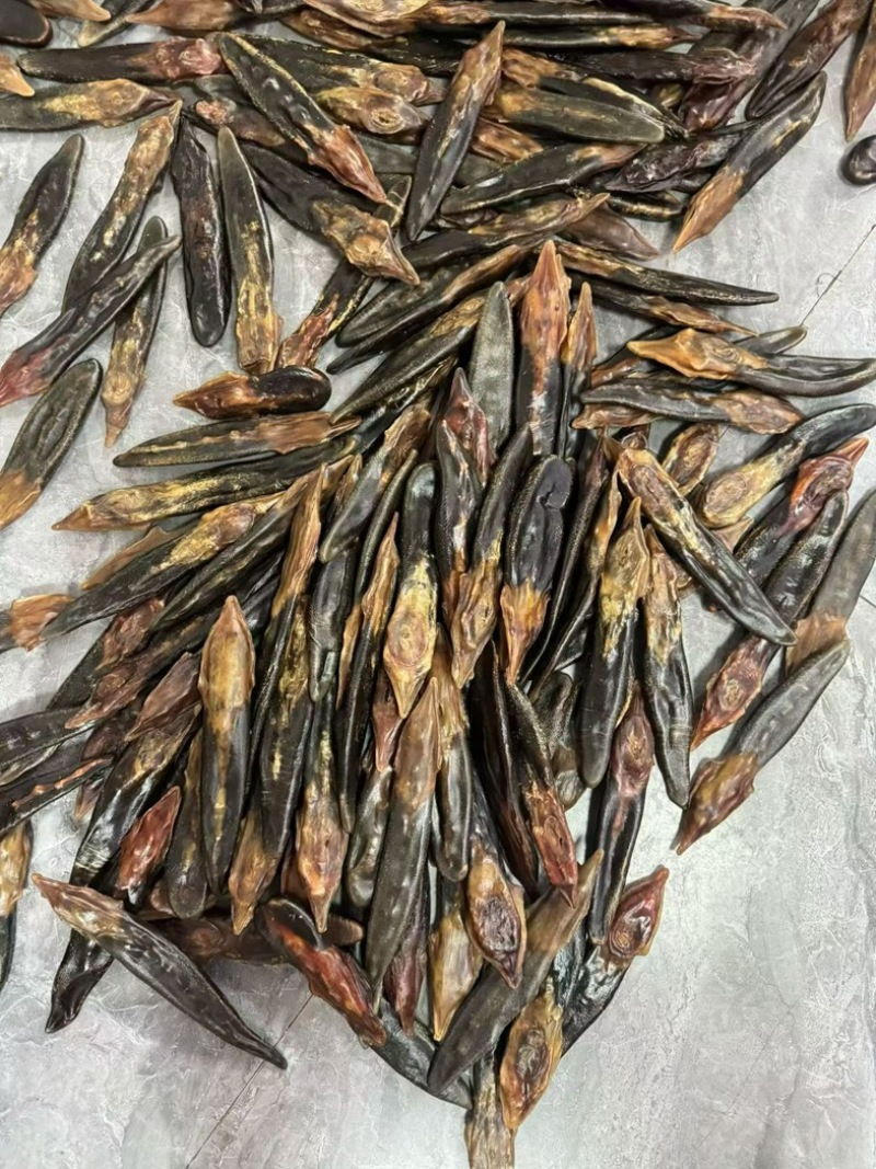 吉林鹿乡干鹿尾残尾残片切片鹿尾巴煲汤泡酒批量源头产地鹿尾