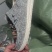 尾货鞋外贸单，1600左右双，4.5块钱清货，品质保证