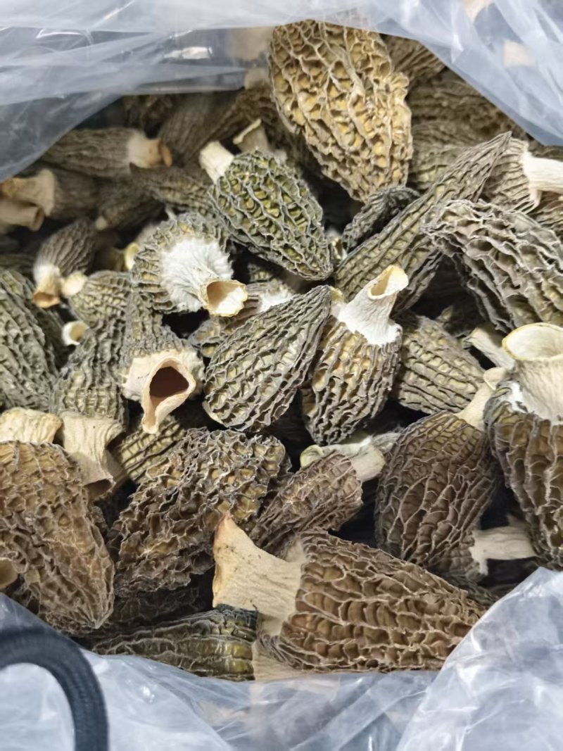 头茬基本上都是5-6cm的