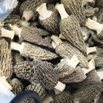 头茬基本上都是5-6cm的