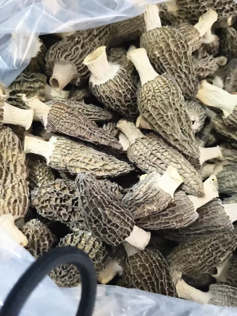 头茬基本上都是5-6cm的