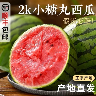 山东2K小西瓜产地直发大量供应一手货源代收代发