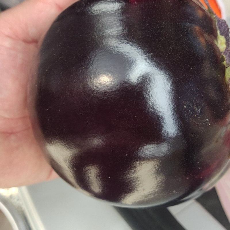 圆茄