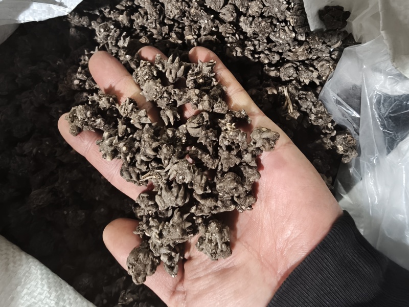 猫爪草（选装中粒)，产地新货，质量保证，爪子分明！