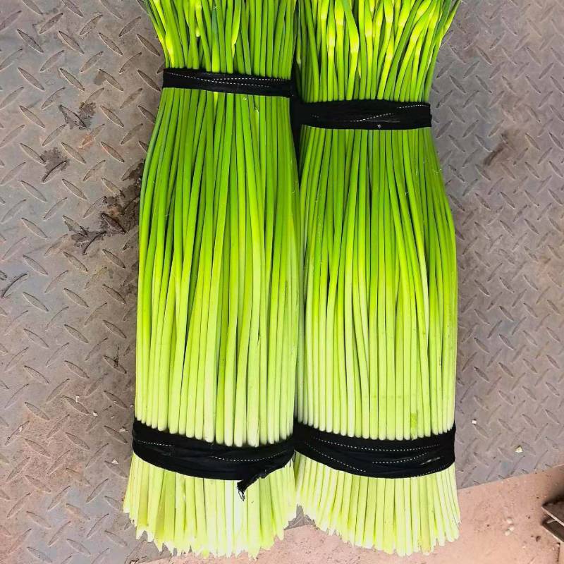 【白帽蒜薹】江苏蒜苔/盐城白帽蒜苔/新鲜现摘现发便宜