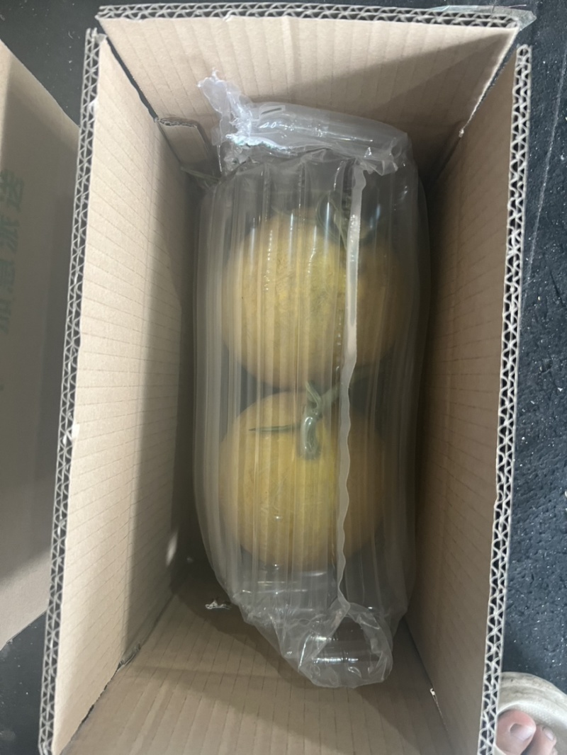 山东黄金哈密瓜凤金6号产地直发货量充足一手货源
