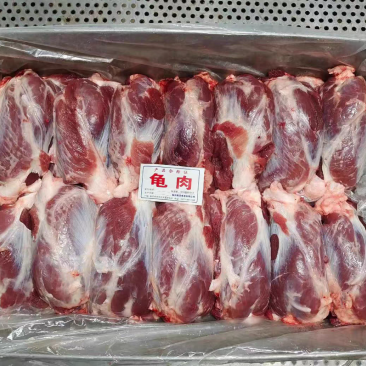 猪腱子龟腱肉纯干货猪腱子肉精修大小均匀