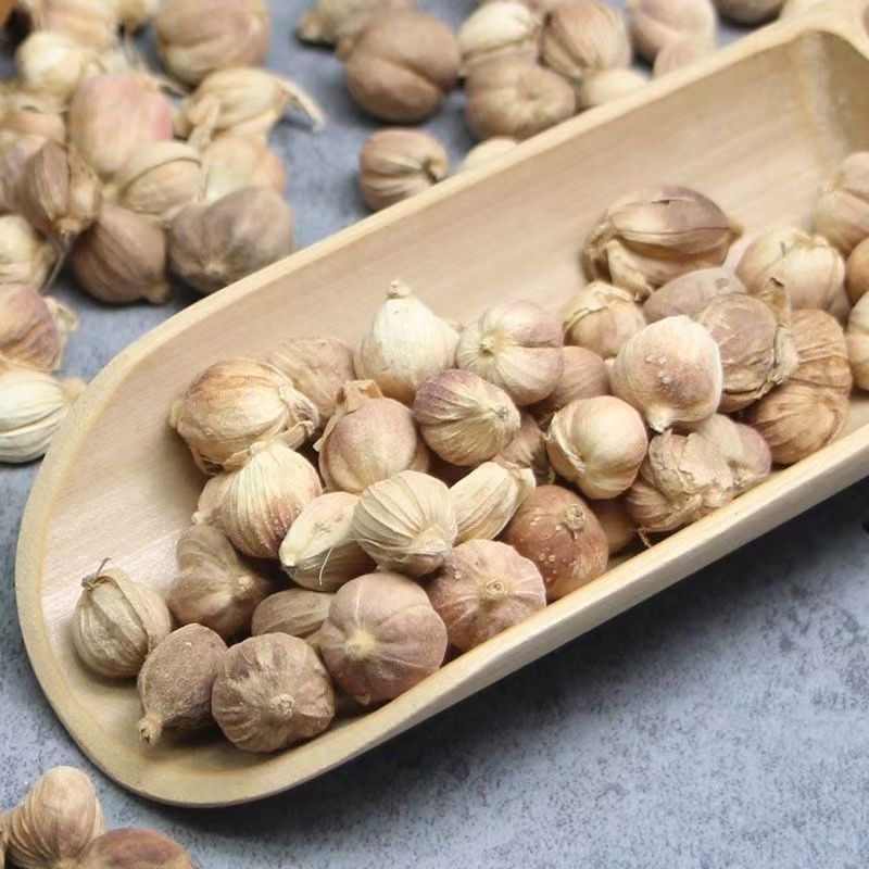 白蔻500g白扣白豆蔻豆叩圆豆蔻香料卤料炖肉中药材大全代发批