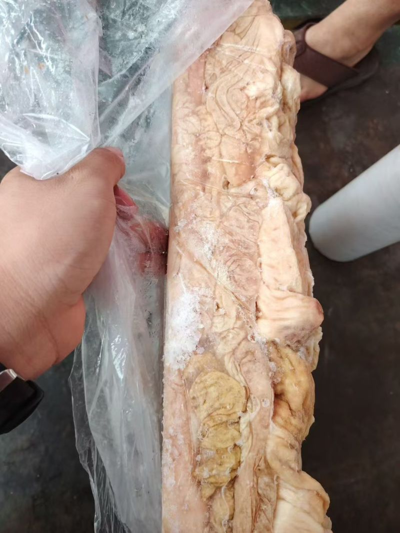 生大肠
