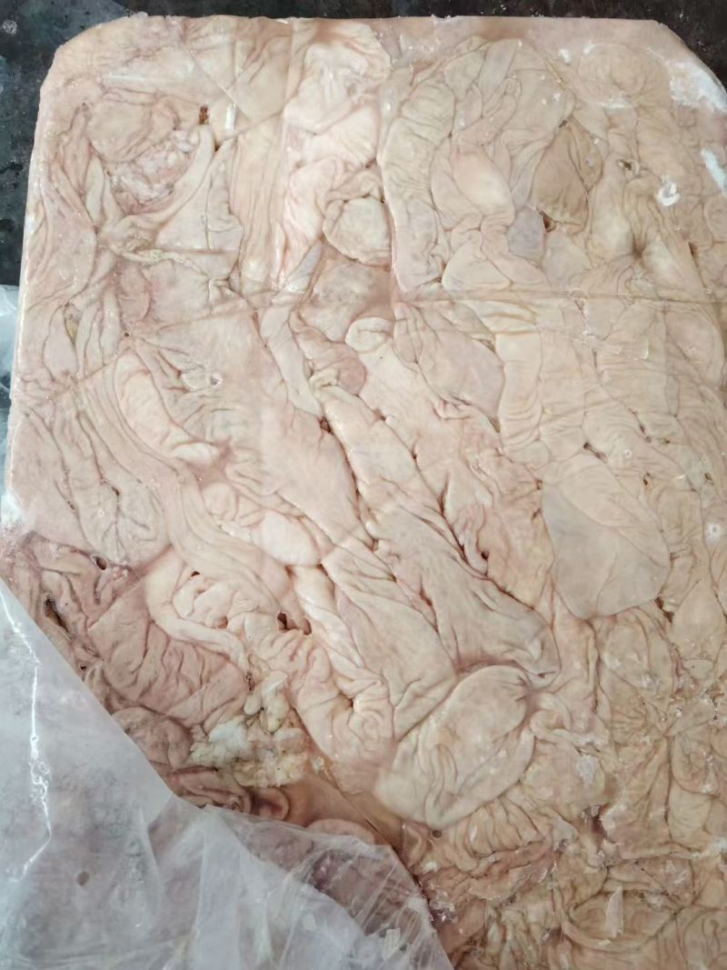 生大肠