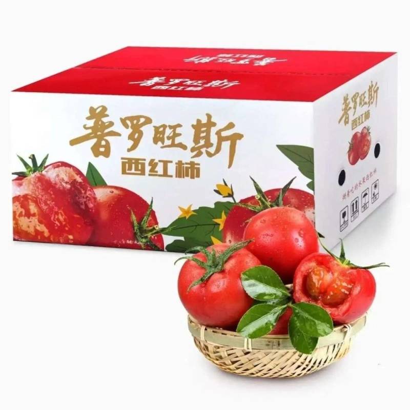 【一件】彩箱陕西泾阳普罗旺斯净重5斤水果西红柿番茄沙瓤