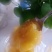百花土蜂蜜