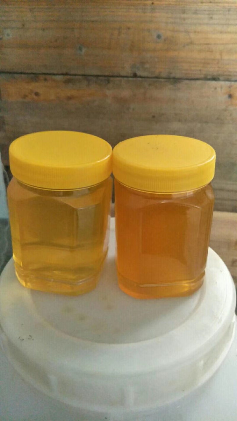 百花土蜂蜜