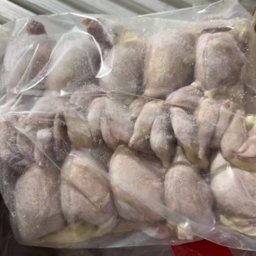 扒皮放血鹌鹑，5万只左右